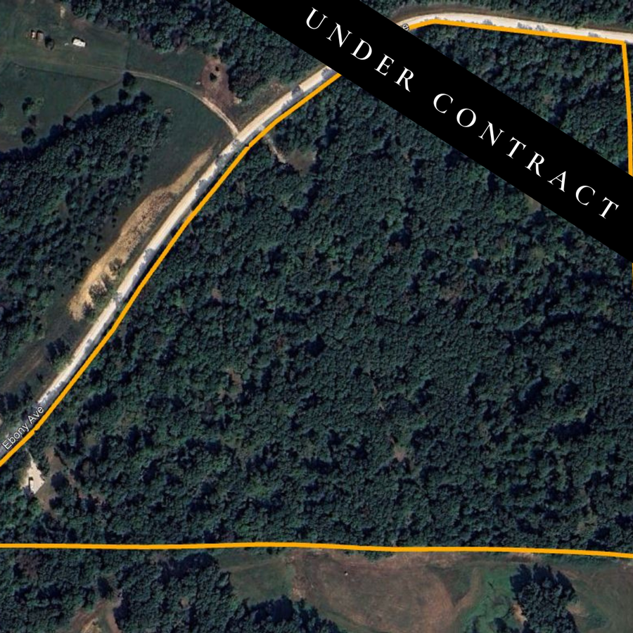 28+ Acre Timber Tract in Macon County